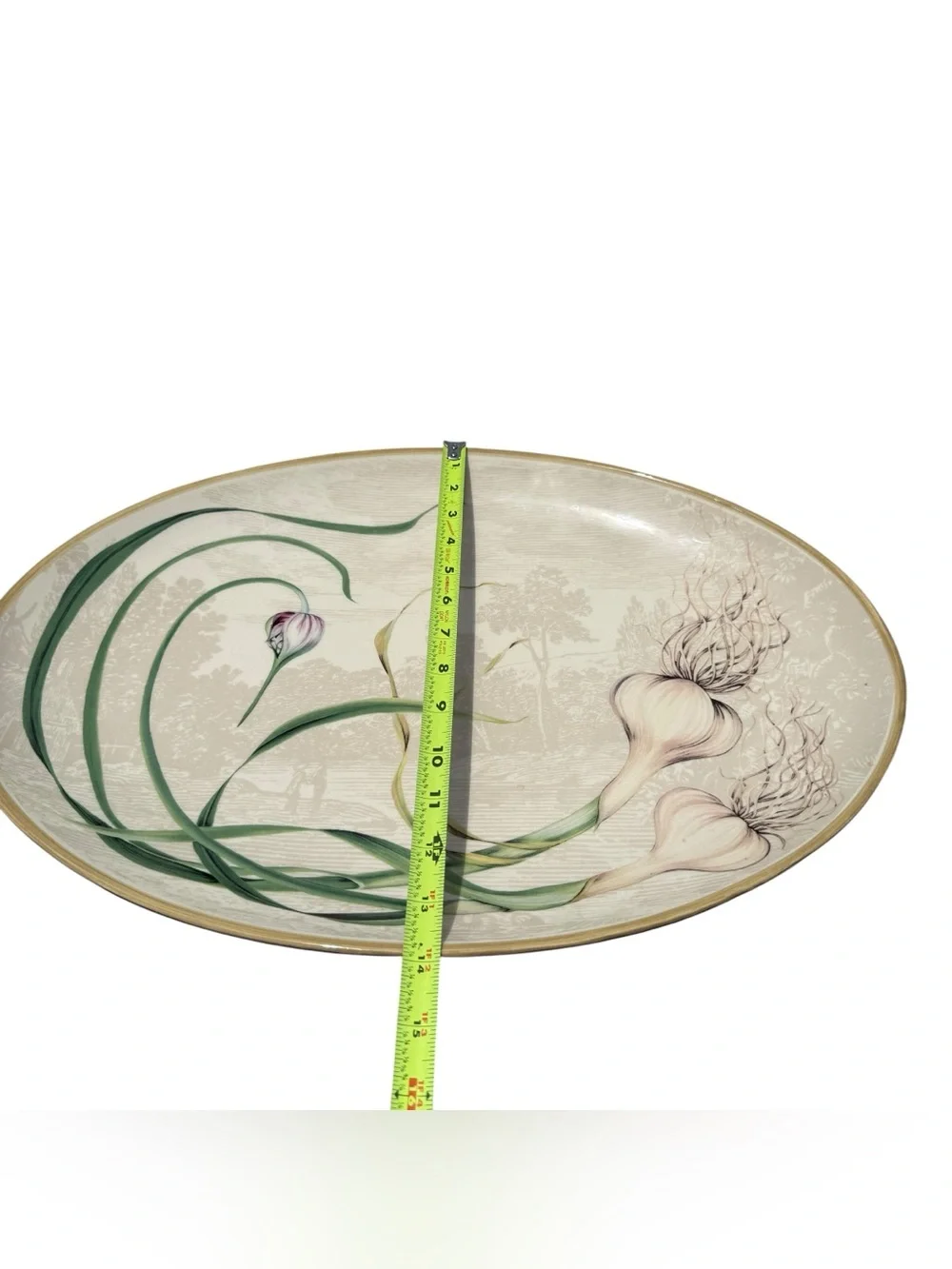 Williams Sonoma Garlic Serving Platter Portugal Oval Ceramic Farmhouse Kitchen